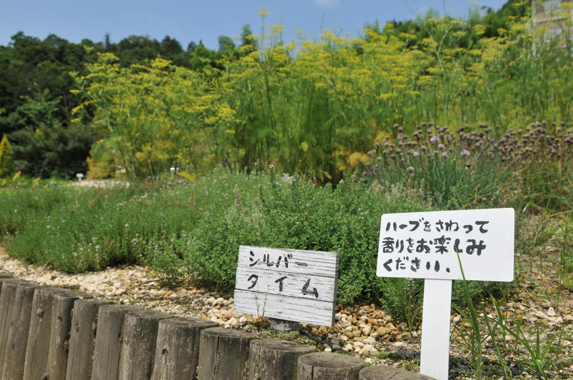 Hashidate Bay Hotel Yosano Bagian luar foto
